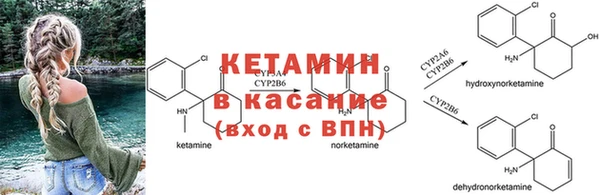 PSILOCYBIN Абаза