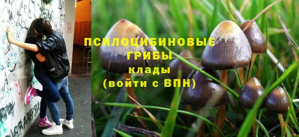 первитин Абинск