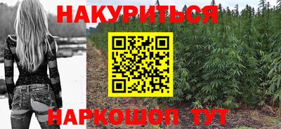 шишки Лесосибирск