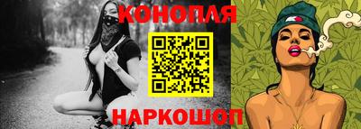 шишки Лесосибирск