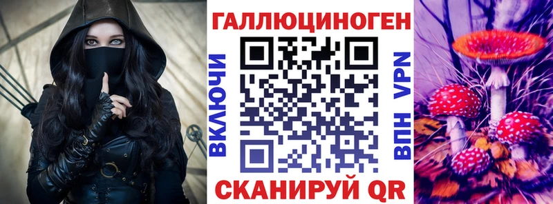 наркота  Ялуторовск  Псилоцибиновые грибы Psilocybe 