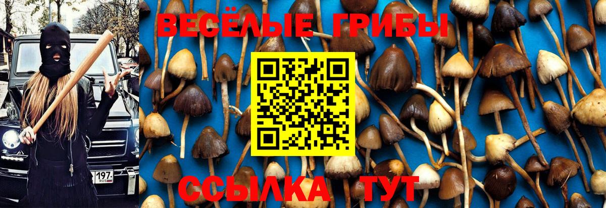 Галлюциногенные грибы прущие грибы Ялуторовск